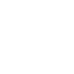 documento